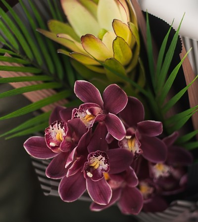 Букет Дикая орхидея