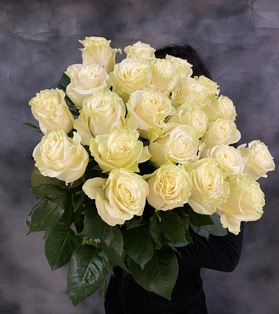 Роза белая Мондиаль